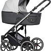 Универсальная коляска Expander Exeo (2 в 1, 01 silver)