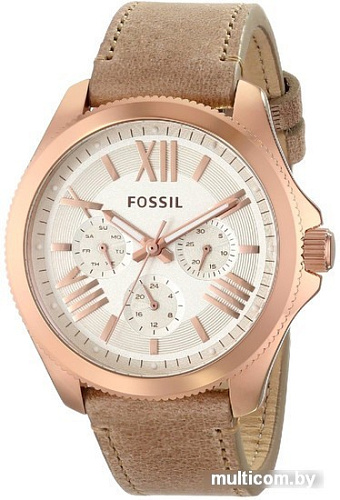 Наручные часы Fossil AM4532