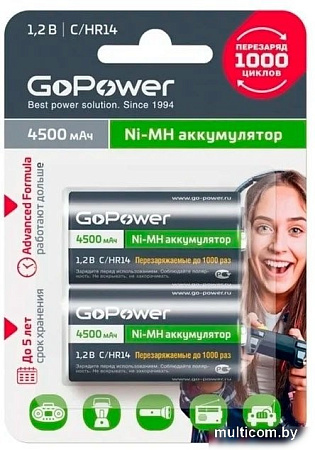 Аккумулятор GoPower 00-00018322