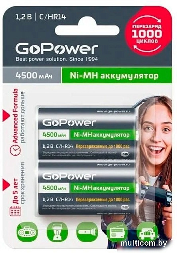 Аккумулятор GoPower 00-00018322