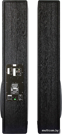 Акустика Ginzzu GM-326