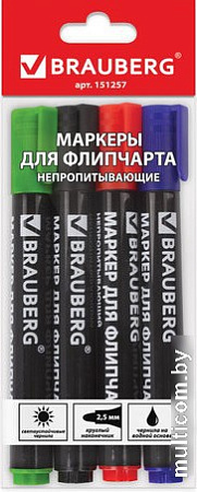 Набор маркеров BRAUBERG 151257 (4 шт)