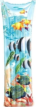 Intex Fashion 59720NP