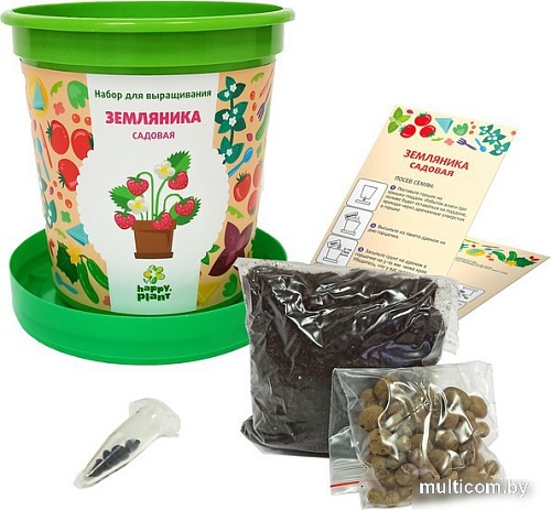 Набор для опытов Happy plant Земляника садовая hpn-26
