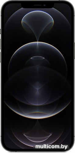 Смартфон Apple iPhone 12 Pro Max 512GB (графитовый)