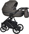Универсальная коляска Riko Basic Delta Ecco (2 в 1, 12/mokka)