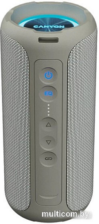 Беспроводная колонка Canyon OnMove 15 (бежевый/серый)