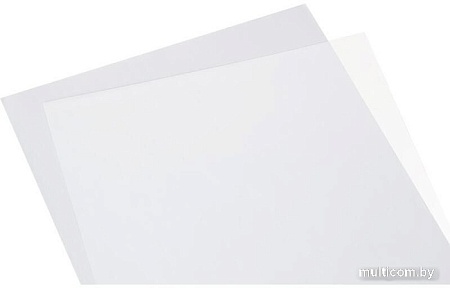 Пластиковая обложка для переплета ProMega Office А4 150 мкм 254629 (100 шт, прозрачный)