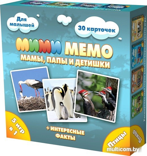 Настольная игра Нескучные игры Ми-Ми-Мемо Птицы 8052