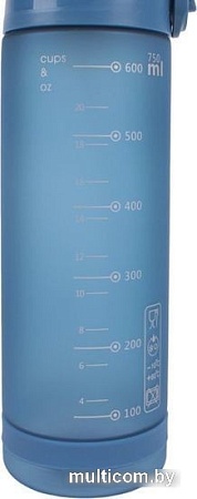 Бутылка для воды Darvish DV-H-1605-1 750мл (синий)
