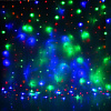 Световой дождь Luazon Led-360 (2x1.5 м, мульти) [1080461]