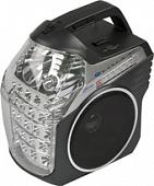 Радиоприемник Ritmix RPR-505