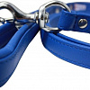 Angel Pet Alpine 40008/AG (голубой)
