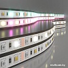 Светодиодная лента Elektrostandard 24V 14.4W 60Led 5050+5050 IP20 MIX RGB/дневной белый a053729