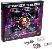 Головоломка Puzzle Загадки Эйнштейна Металлическая 2528228 (4 шт)