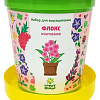 Набор для опытов Happy plant Флокс очарование hpn-29
