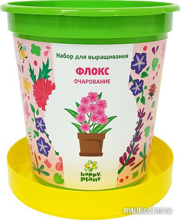 Набор для опытов Happy plant Флокс очарование hpn-29
