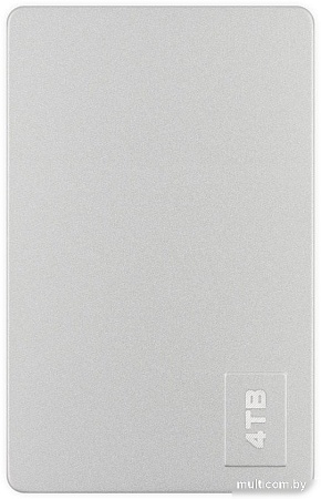 Внешний накопитель Mirex Legion Silverace 4TB 13630-UHDLES40