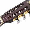 Акустическая гитара Aileen AC965H