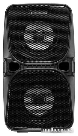 Беспроводная колонка Digma D-PS1505