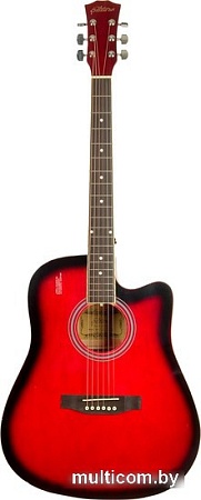 Акустическая гитара Elitaro E4110 RDS