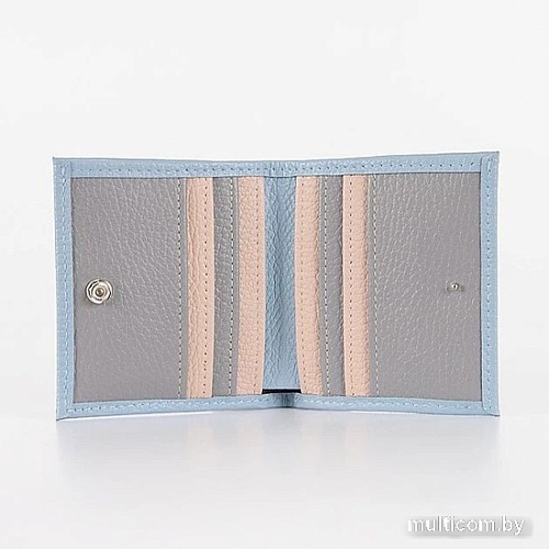 Кошелек Poshete 604-080M-BCL (голубой)