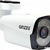 IP-камера Ginzzu HIB-2301A