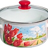 Кастрюля КМЗ Страна тюльпанов Экстра 42304-122/4.02