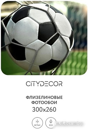 Фотообои Citydecor Детская 379 300x260