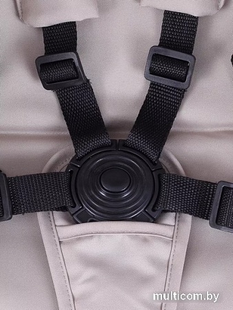 Коляска прогулочная «книга» Rant Action RA301 (beige)