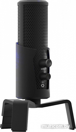 Микрофон Ritmix RDM-290 USB Eloquence