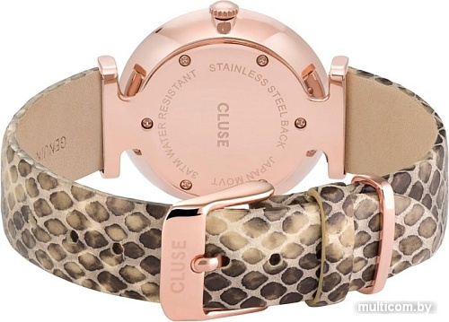Наручные часы Cluse Triomphe CL61007