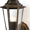 Уличный настенный светильник Ambrella light Garden ST2012