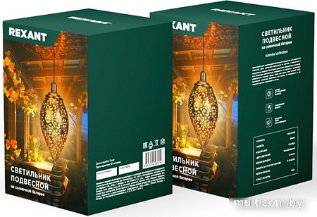 Уличный подвесной светильник Rexant Фатих 602-2402