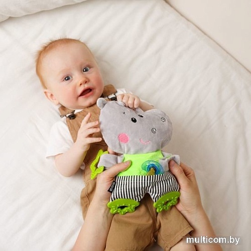 Прорезыватель Мякиши Бегемотик Димочка 725