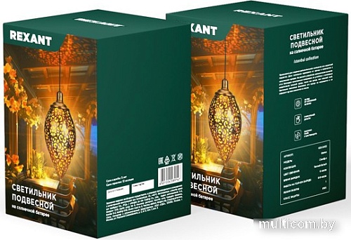 Уличный подвесной светильник Rexant Фатих 602-2402