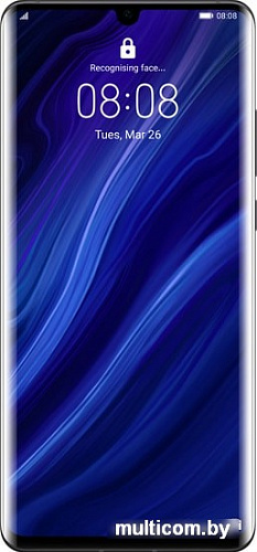 Смартфон Huawei P30 Pro VOG-L29 Dual SIM 8GB/128GB (черный)