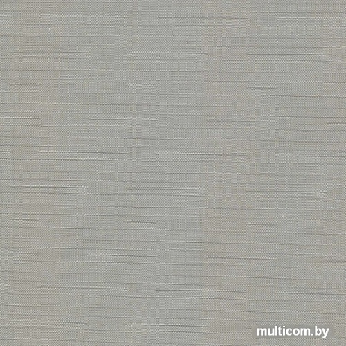 Рулонные шторы Эскар 48x170 (серый)