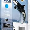 Картридж Epson C13T76024010