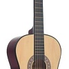 Акустическая гитара Terris TF-3802A NA