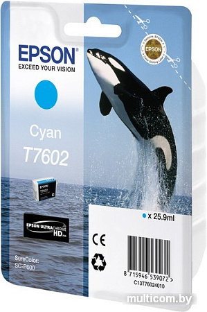 Картридж Epson C13T76024010