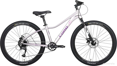 Велосипед Cord 5Bike 26 M300 2025 CRD-M5-2611-15 (цветущая сакура, разобранный)