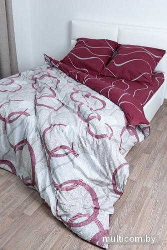 Постельное белье Миланика Тесла Семейный (поплин)