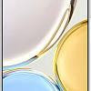 Смартфон HONOR X9 6GB/128GB (титановый серебристый)