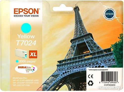 Картридж Epson C13T70244010
