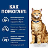 Сухой корм для кошек Hill&#039;s Prescription Diet c/d Multicare с курицей 1.5 кг