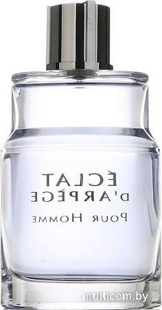 Туалетная вода Lanvin Eclat d'Arpege Pour Homme EdT (50 мл)