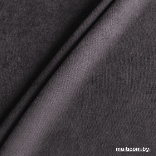 Комплект штор Pasionaria Софт 290x230 (2 шт, темно-серый)