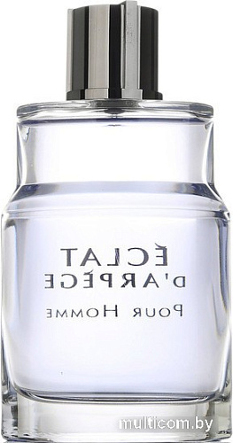 Туалетная вода Lanvin Eclat d'Arpege Pour Homme EdT (50 мл)