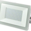 Уличный прожектор General Lighting GLFL-B1-100BT-IP65-6K-W